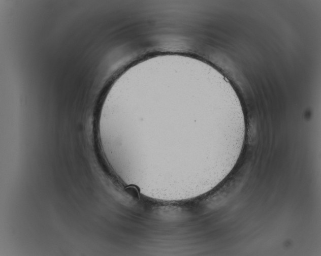 X0000094210535200711241702