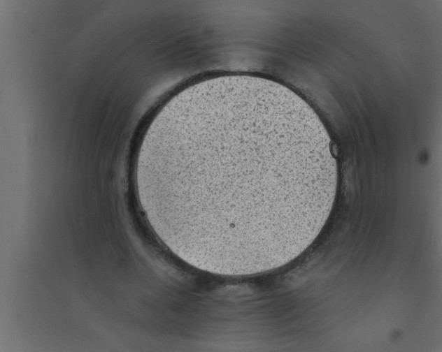 X0000094210536200711241702