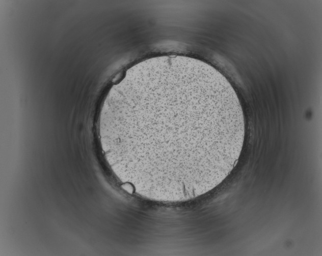 X0000094210538200711241702