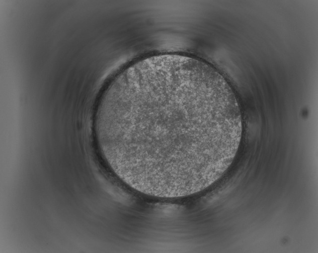 X0000094210539200711241702