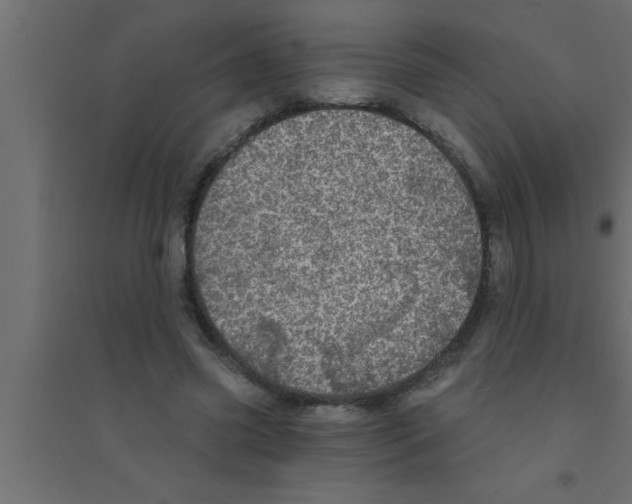 X0000094210541200711241702