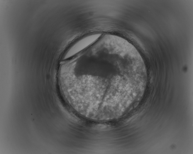 X0000094210542200711241702
