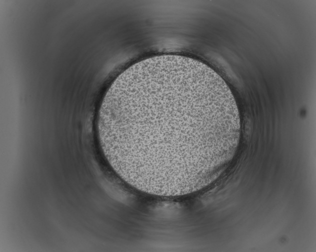 X0000094210543200711241702