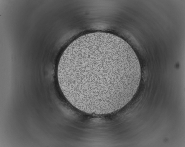 X0000094210544200711241702