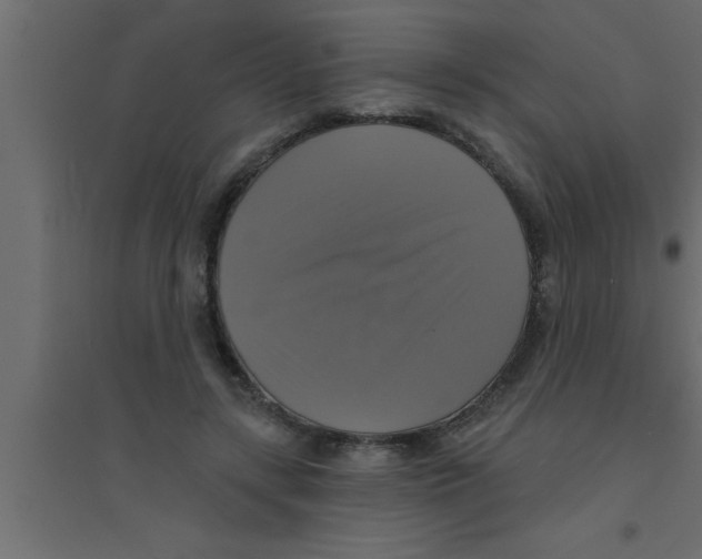 X0000094210547200711241702
