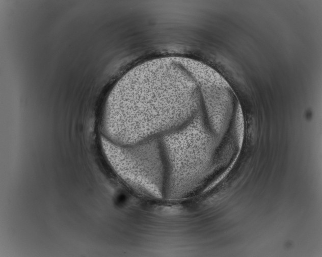 X0000094210548200711241702