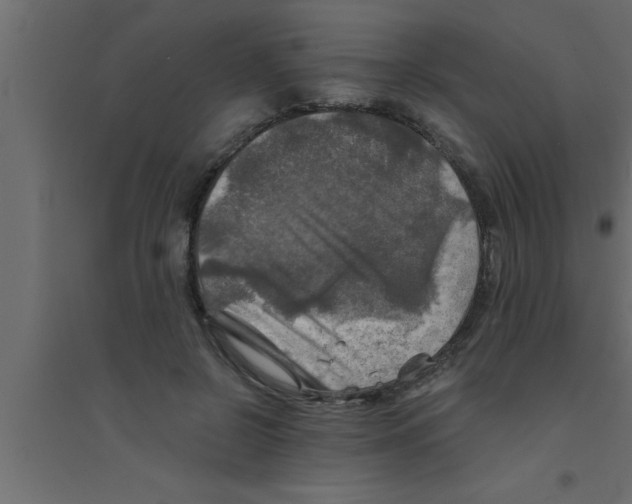 X0000094210550200711241702