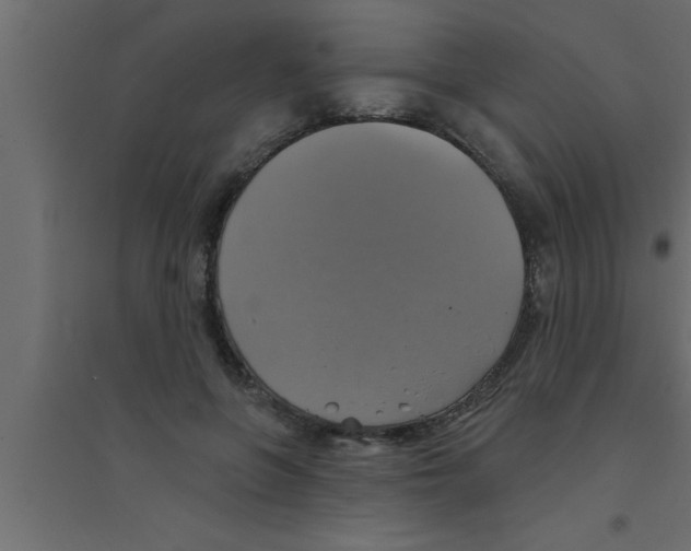 X0000094210551200711241702