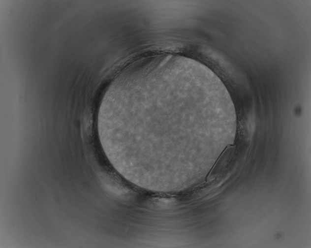 X0000094210552200711241702