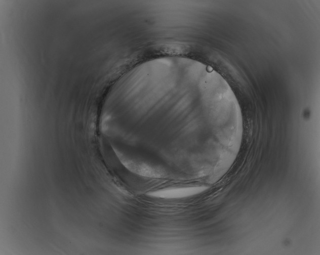 X0000094210553200711241702