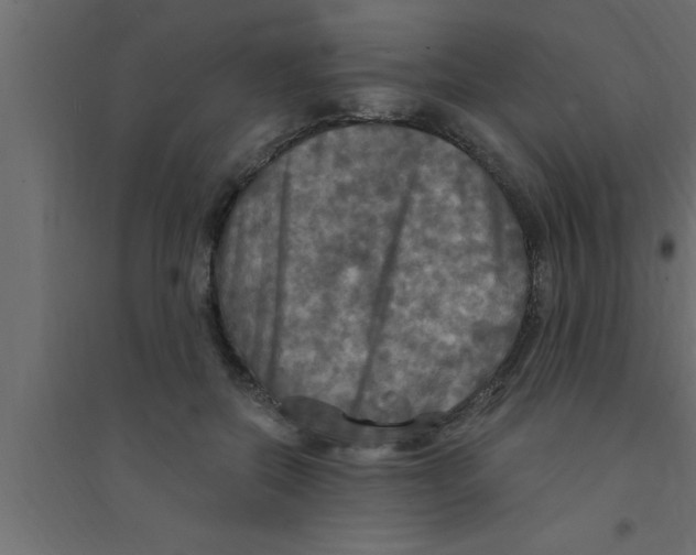 X0000094210554200711241702