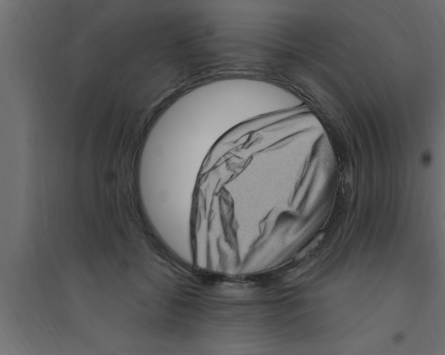 X0000094210556200711241702