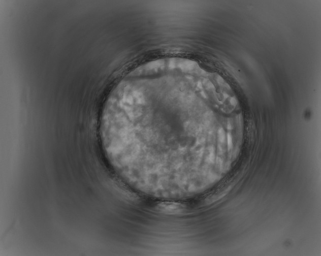 X0000094210557200711241702