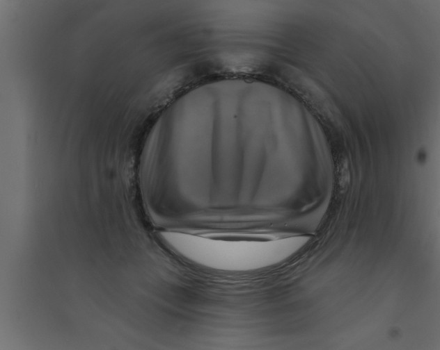 X0000094210559200711241702