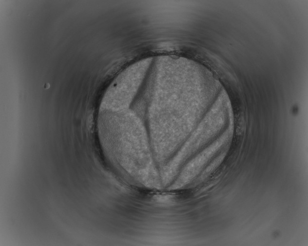 X0000094210560200711241702