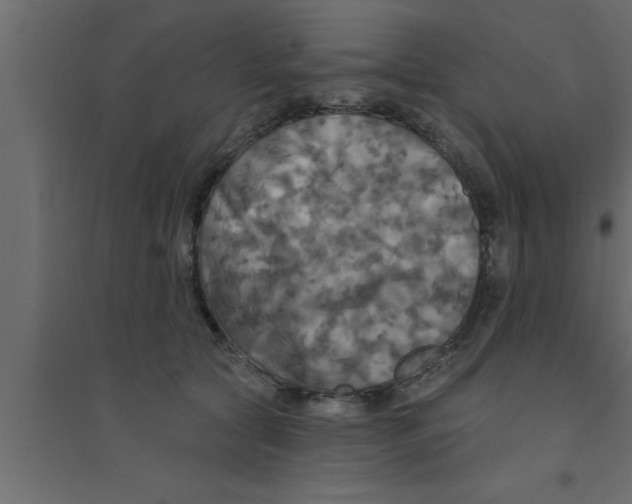X0000094210561200711241702