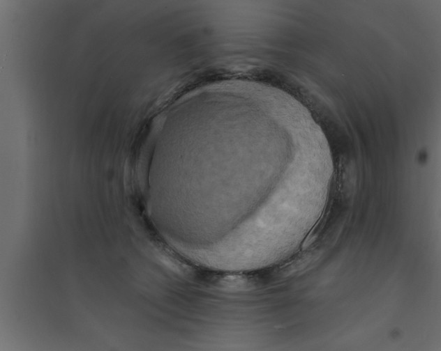 X0000094210562200711241702