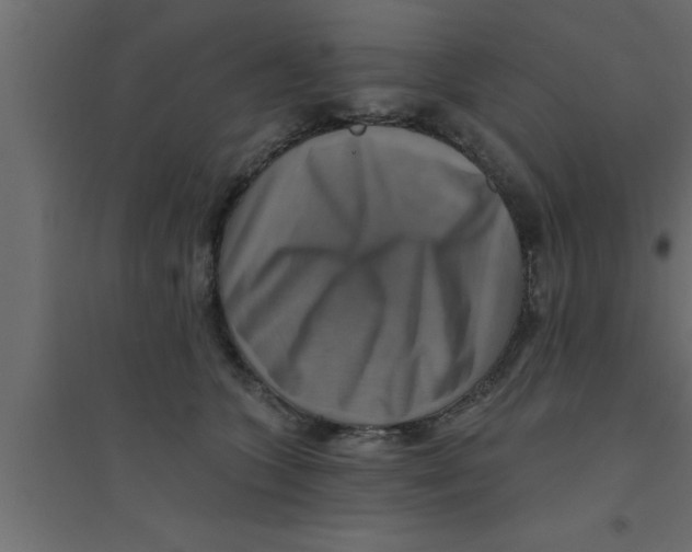 X0000094210563200711241702