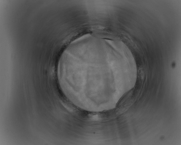 X0000094210564200711241702