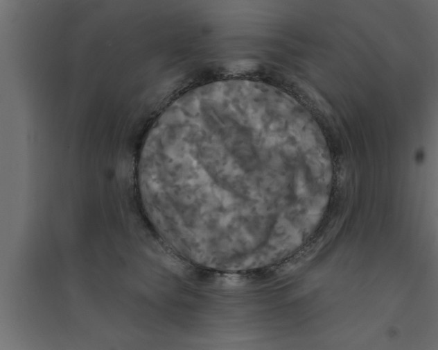 X0000094210565200711241702
