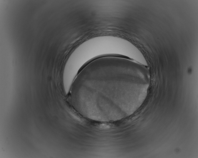 X0000094210566200711241702