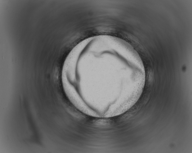 X0000094210567200711241702