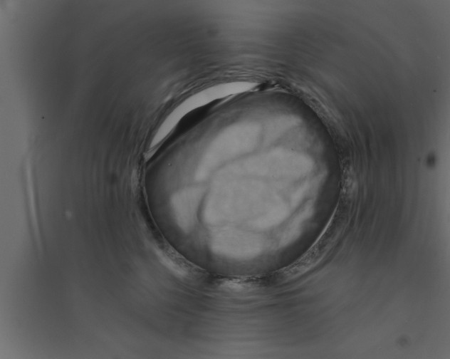 X0000094210568200711241702