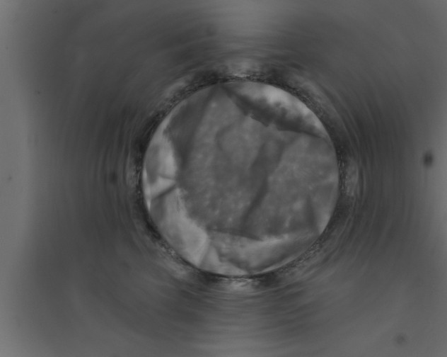 X0000094210569200711241702