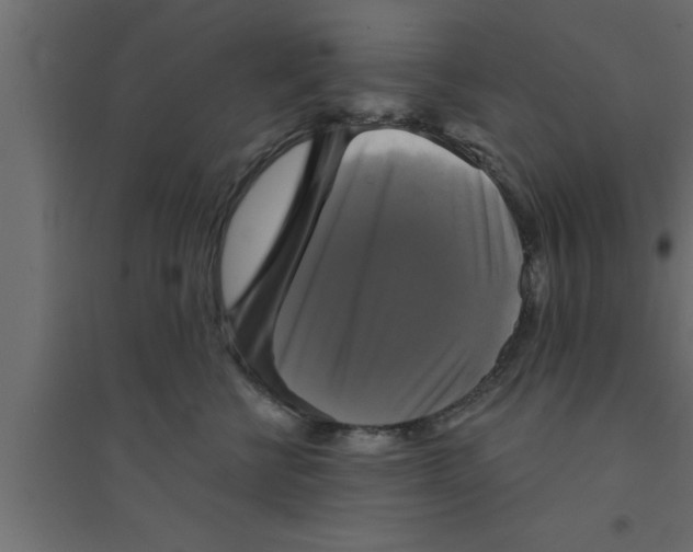 X0000094210570200711241702