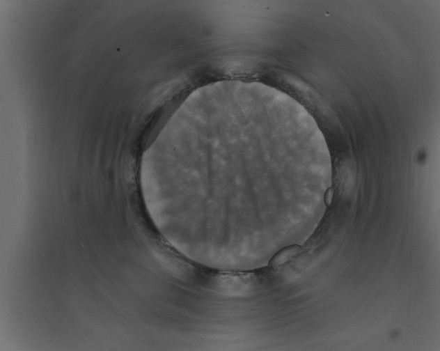 X0000094210571200711241702
