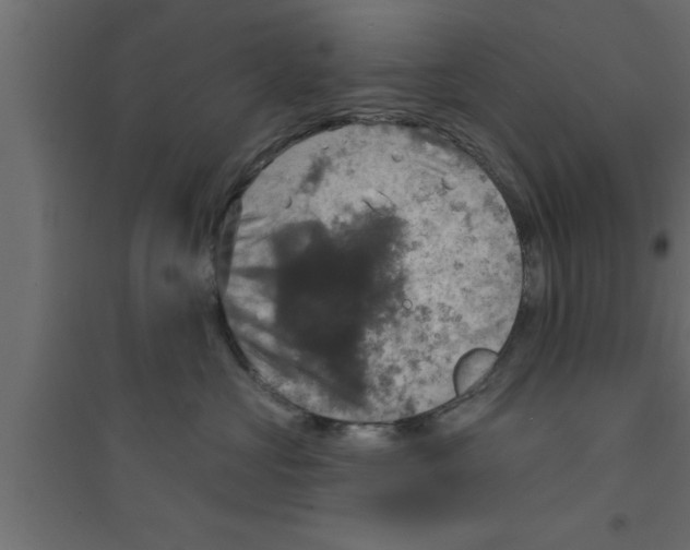 X0000094210573200711241702