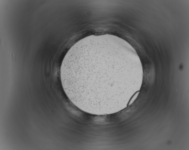X0000094210574200711241702