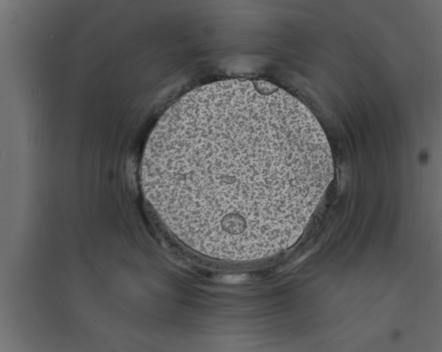 X0000094210575200711241702
