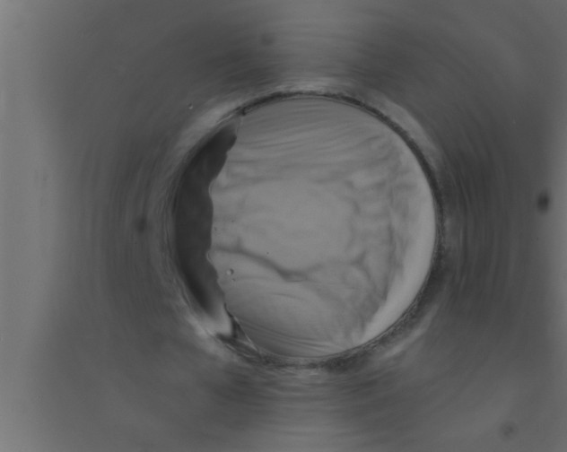 X0000094210577200711241702