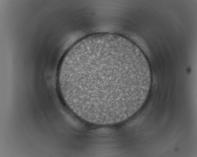 X0000094210578200711241702