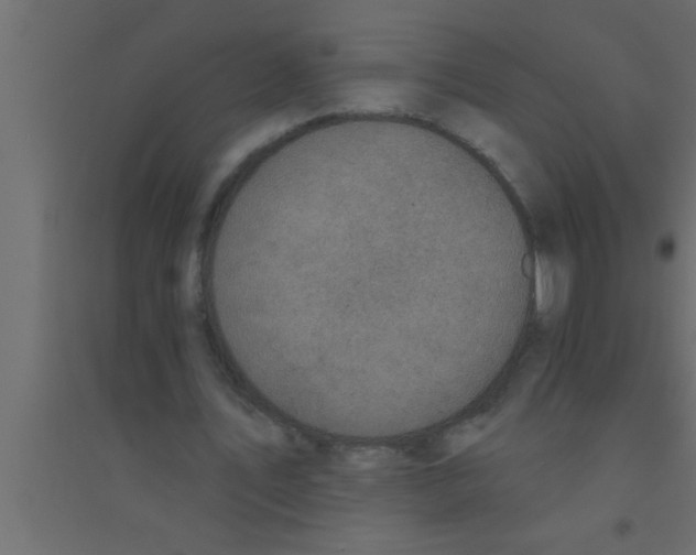 X0000094210579200711241702
