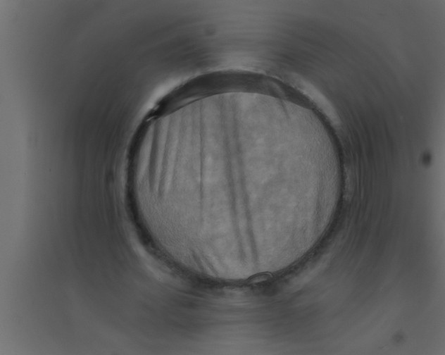 X0000094210580200711241702