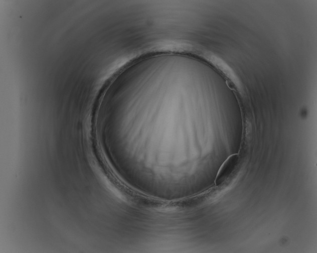 X0000094210581200711241702