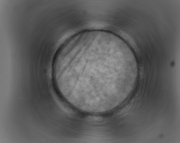 X0000094210582200711241702