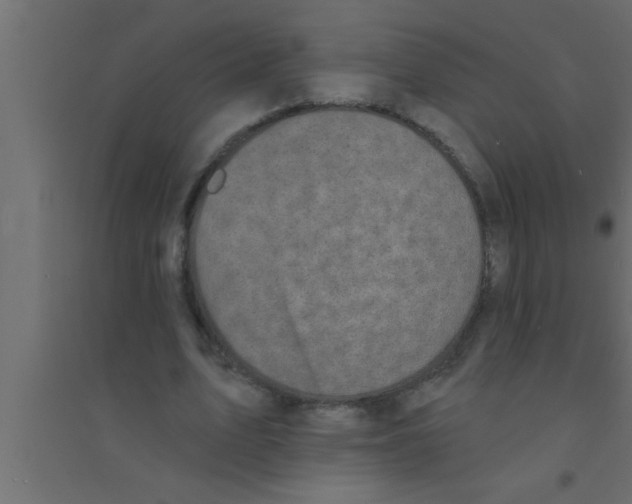 X0000094210583200711241702