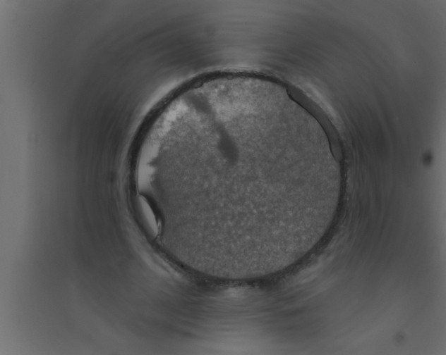 X0000094210584200711241702