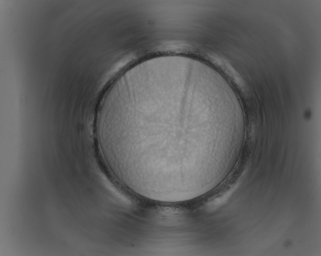 X0000094210585200711241702