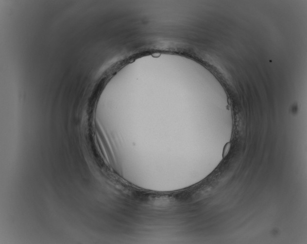 X0000094210587200711241702