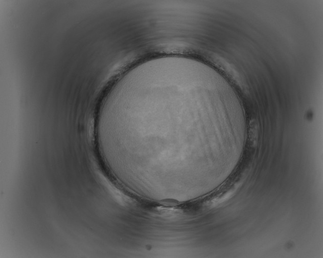 X0000094210589200711241702