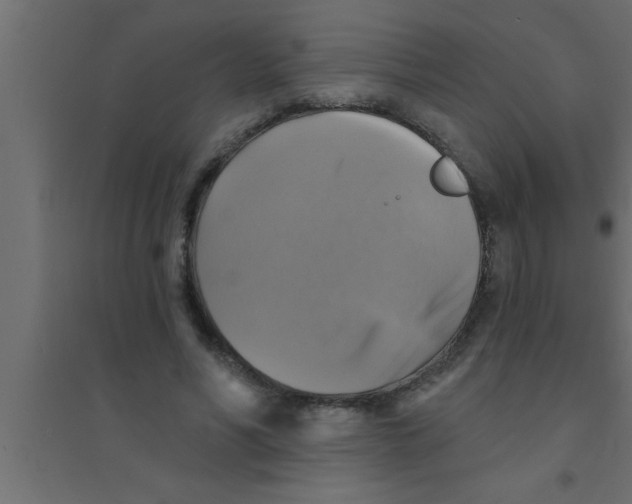 X0000094210590200711241702