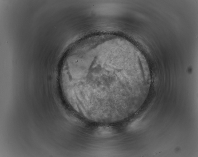 X0000094210591200711241701