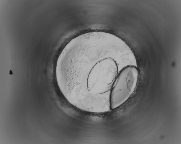 X0000094210592200711241701