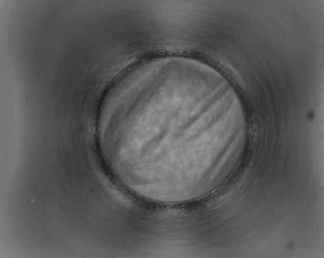 X0000094210593200711241701