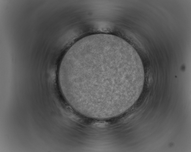 X0000094210595200711241701