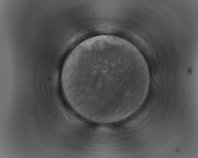 X0000094210596200711241701